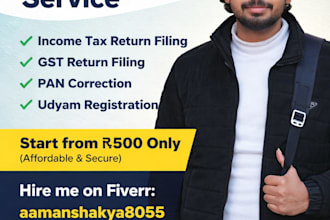 professional tax return filing assistant with experience in gst and income tax