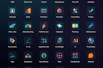 set up, customize and support your odoo erp system