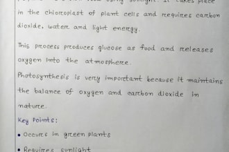 provide neat and accurate handwritten work for any content