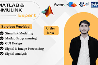 do signal processing,image processing and simulink projects on matlab