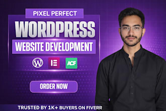 your elementor expert for elementor wordpress website, elementor website design