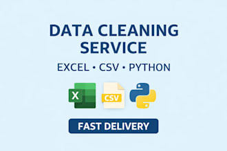 reliable data cleaning dataset formatting service