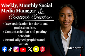 weekly monthly social media marketing manager and content creator VA
