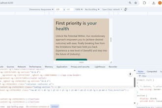 angular frontend developer for responsive web applications and UI