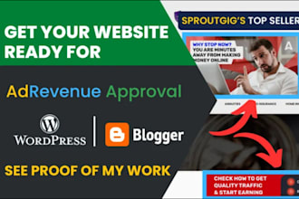 setup a professional wordpress or blogger website for ad revenue approval
