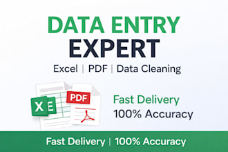 data entry, excel to pdf conversion, data cleaning and formatting