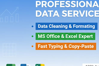 professional data cleaning and excel data formatting