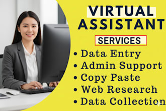 be your virtual assistant for any data entry jobs