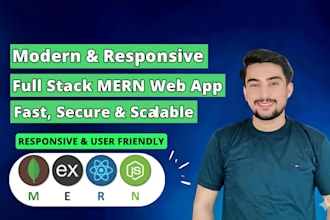 build a full stack mern web application for your business
