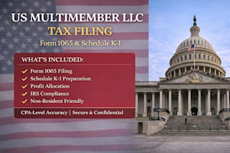 file multimember llc US tax return with zero tax strategy