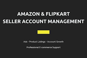 manage amazon and flipkart seller accounts professionally
