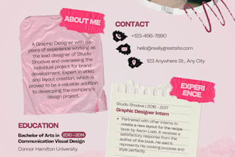 design a professional CV for students aninternship