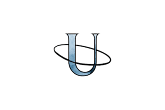 professional logo design service