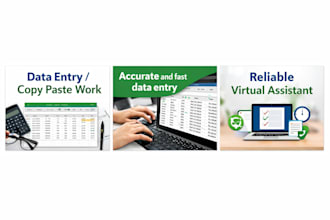 do accurate data entry, copy paste and web research