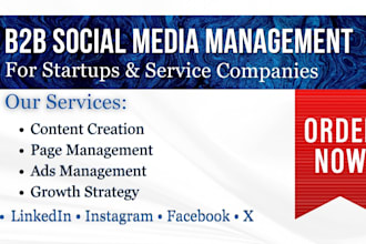 manage social media marketing for b2b startups and service companies