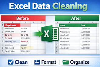 clean, format, and organize excel data professionally