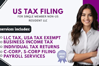 business US tax filing individual US tax filing  US llc tax filling tax return