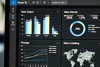 build professional powerbi dashboards and reports