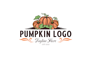 create exclusive and marvelous pumpkin logo design