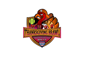 create exclusive and marvelous turkey logo design