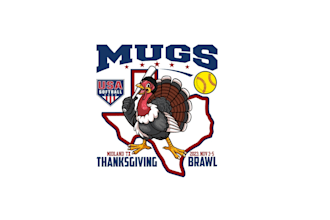 create high quality and beautiful turkey logo design