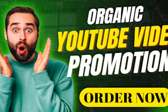do organic youtube video promotion in the USA channel promotion