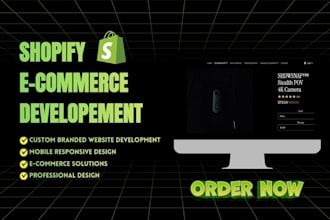 build a professional shopify ecommerce store