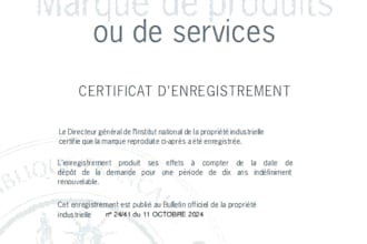 french trademark opposition defense