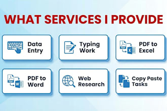 do accurate data entry and online task frofessionally
