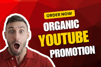 provide organic youtube promotion to boost channel growth safely