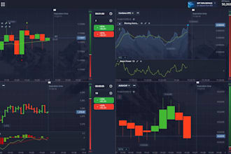 design and develop a custom trading platform website inspired by pocket option
