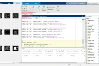 do expert matlab signal processing, image processing, and simulink