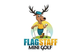 design a premium mini golf course logo for serious brands