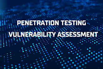 perform website vulnerability assessment and security testing
