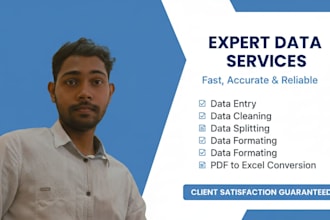 do expert data cleaning, formatting and splitting