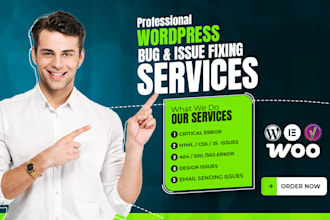 fix wordpress issues, errors, and performance problems