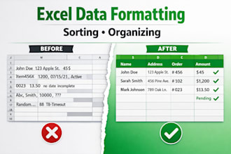 do excel data formatting, sorting and organization professionally