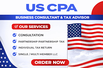 provide US CPA tax consultation llc filing  and tax return services