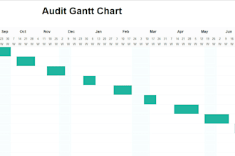 perform internal audit and internal control review