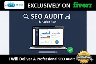 deliver a professional SEO audit