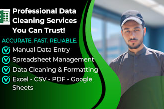 insert data, clean spreadsheets, and do data conversation and formatting