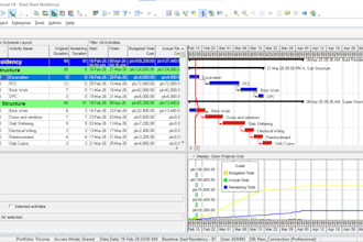 be your project management primavera p6 expert