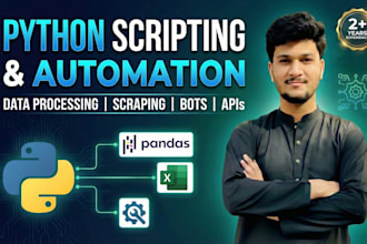 write custom python scripts for automation and data processing