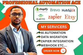 esty klaviyo shopify api automation hubspot crm zapier integration brevo expert