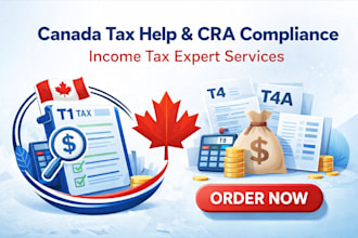 provide canada tax help canadian income tax cra compliance expert tax services