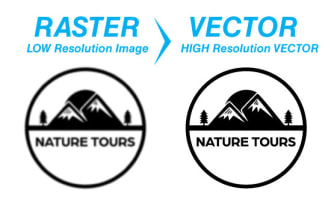 convert logo or image into vector