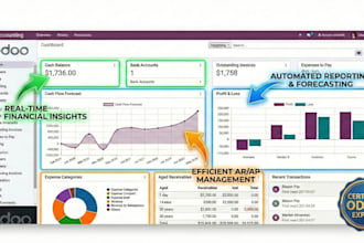 setup up your odoo accounting and provide training