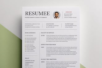 design a professional resume or CV