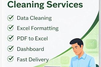 do data cleaning, data formatting and excel work professionally