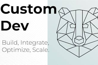 develop custom web apps and exclusive wordpress plugins